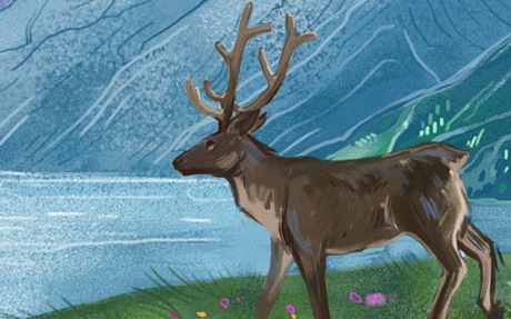 Алтай: цветение маральника