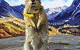Камчатка: летний сезон