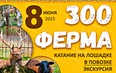 Зооферма с катанием на лошадке в повозке