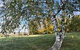 Рязань - Константиново