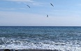 Автобусом к Чёрному морю - 25