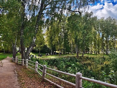 Плёс 
