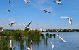 Ростов Великий 