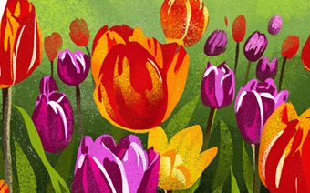 Алма-Ата: царство тюльпанов