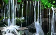 Серебряное кольцо: Псков - Новгород 