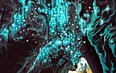 Новая Зеландия: туда и обратно