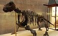 Палеонтологический музей