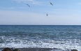 Автобусом к Чёрному морю - 25