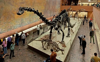 Палеонтологический музей