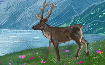 Алтай: цветение маральника