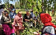 Суздаль. День Огурца