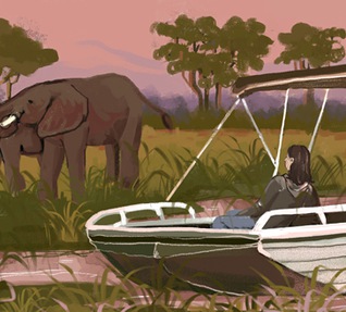 Великое Сафари: Ботсвана + водопад Виктория