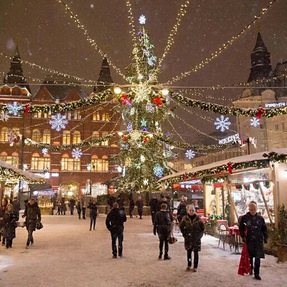 Рождество в Минске - Сула. Органный концерт