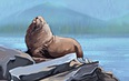 Курилы: экспедиция на северные острова