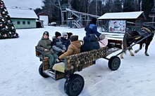 Фотоотчет : наши любимые школьники посетили Зооферму 