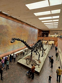 Палеонтологический музей