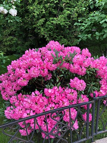 Покровский монастырь, Даниловское кладбище, Новоспасский монастырь