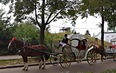 Суздаль. Праздник Троицы и народных ремесел
