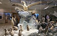 2 музея в один день Палеонтологический + Дарвиновский