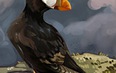 Камчатка: летний сезон