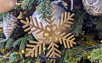 Фабрика Шоколада