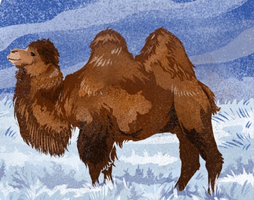 Зимняя Орда: виноградники Волгограда и тайны Элисты