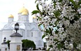 Дивеево - Источники. День памяти преподобного Серафима Саровского