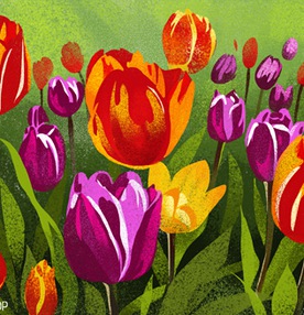 Алма-Ата: царство тюльпанов