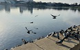 Минские истории