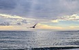 Автобусом к Чёрному морю - 25