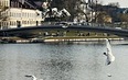 Минские истории