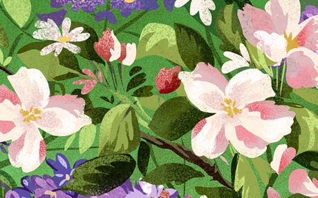 Секретный тур по России - МАЙСКИЕ ПРАЗДНИКИ